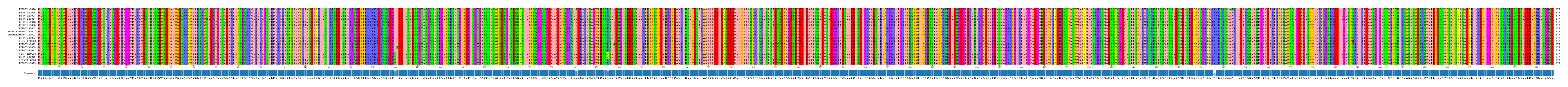 Multiple Alignments (by translate haplotype similarity)