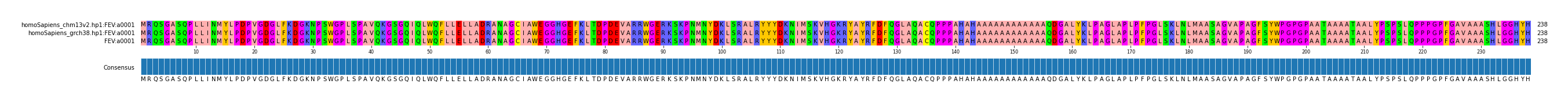 Multiple Alignments (by translate haplotype similarity)