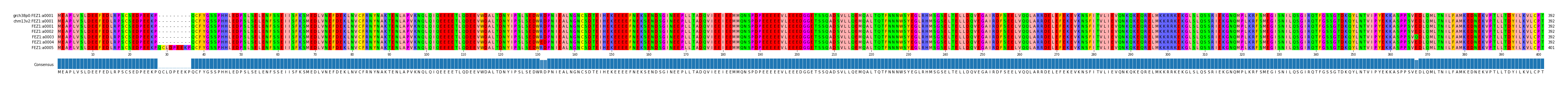 Multiple Alignments (by translate haplotype frequency)