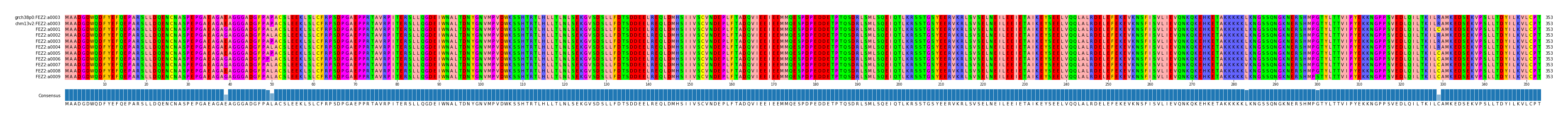 Multiple Alignments (by translate haplotype frequency)