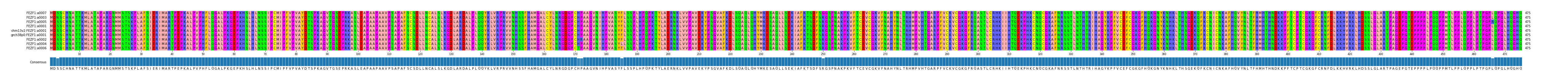 Multiple Alignments (by translate haplotype similarity)