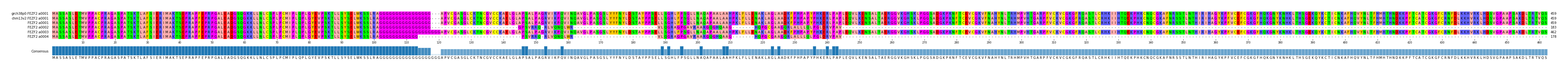 Multiple Alignments (by translate haplotype frequency)