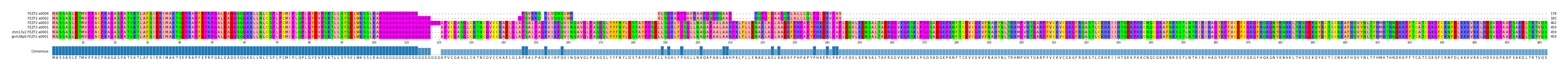 Multiple Alignments (by translate haplotype similarity)