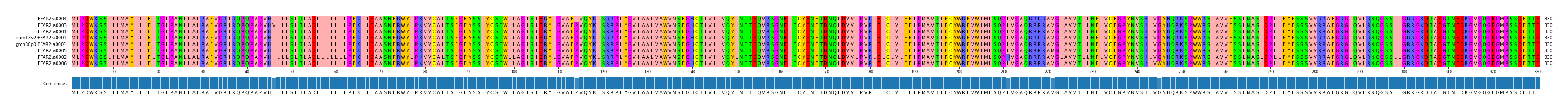 Multiple Alignments (by translate haplotype similarity)