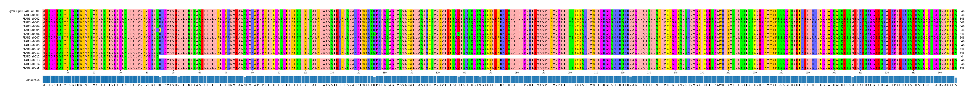 Multiple Alignments (by translate haplotype frequency)