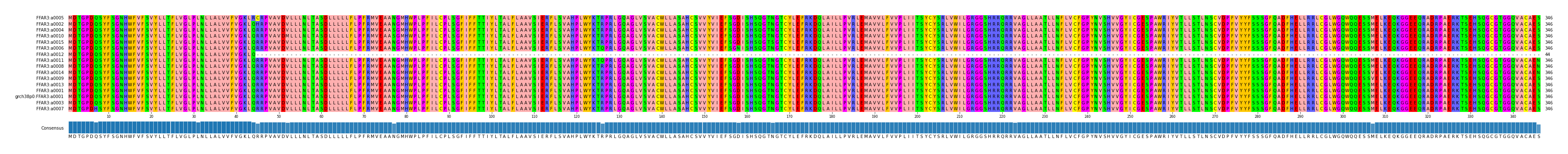 Multiple Alignments (by translate haplotype similarity)