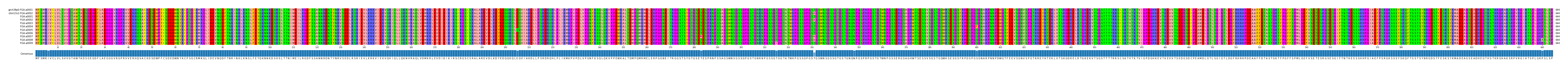 Multiple Alignments (by translate haplotype frequency)