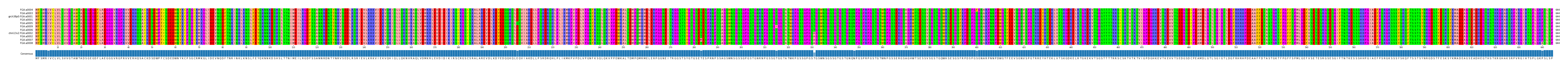 Multiple Alignments (by translate haplotype similarity)
