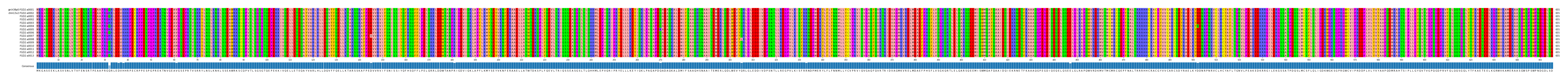 Multiple Alignments (by translate haplotype frequency)