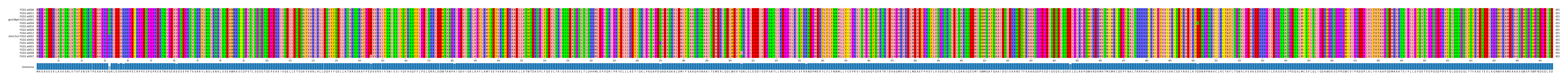 Multiple Alignments (by translate haplotype similarity)