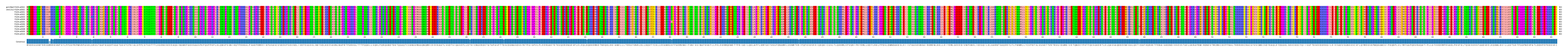 Multiple Alignments (by translate haplotype frequency)