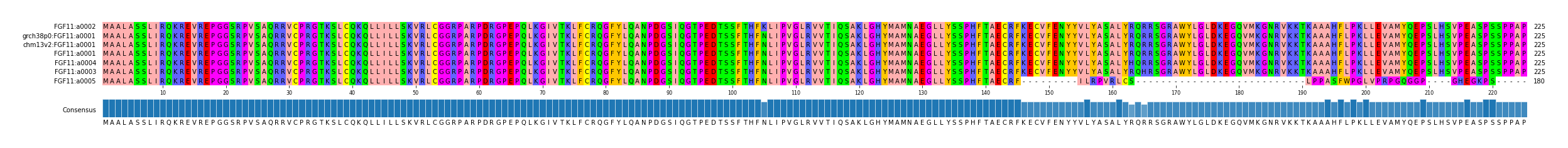 Multiple Alignments (by translate haplotype similarity)