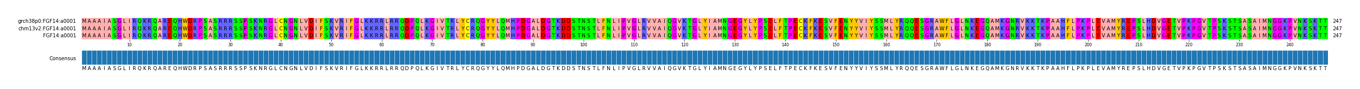 Multiple Alignments (by translate haplotype similarity)