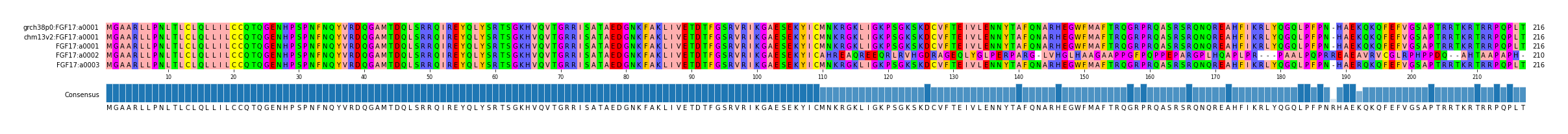 Multiple Alignments (by translate haplotype frequency)
