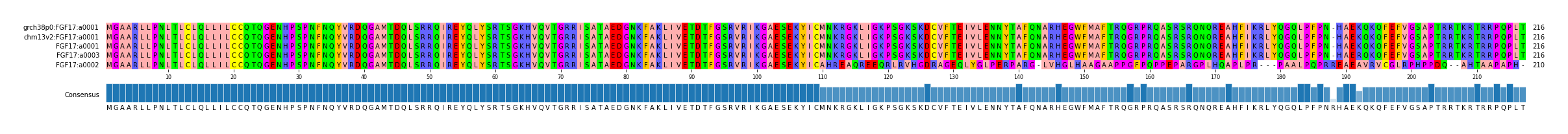 Multiple Alignments (by translate haplotype similarity)