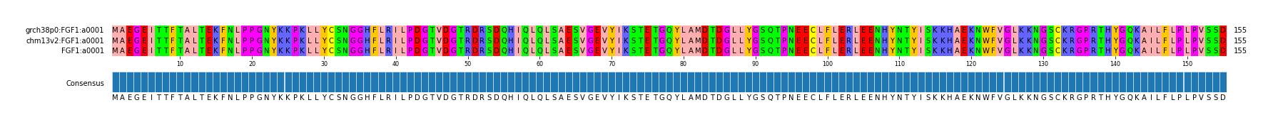 Multiple Alignments (by translate haplotype similarity)