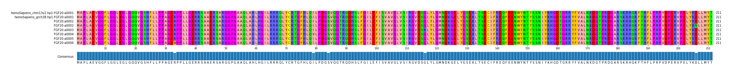 Multiple Alignments (by translate haplotype frequency)