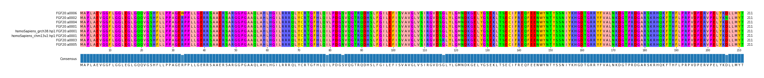 Multiple Alignments (by translate haplotype similarity)