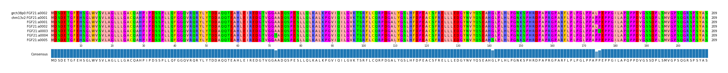 Multiple Alignments (by translate haplotype frequency)