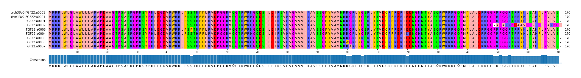 Multiple Alignments (by translate haplotype frequency)