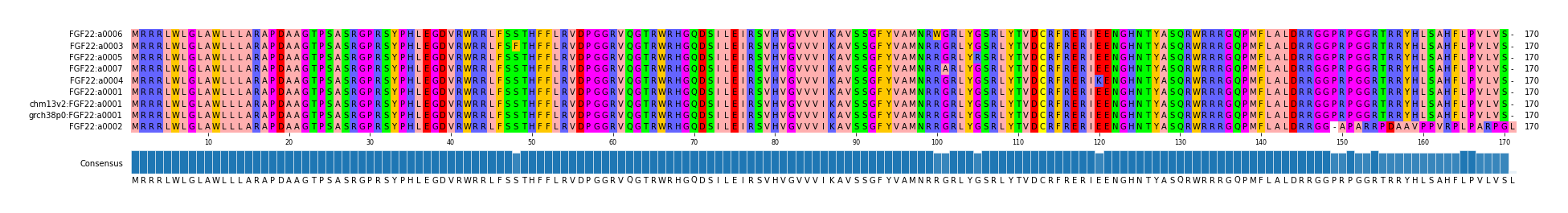 Multiple Alignments (by translate haplotype similarity)
