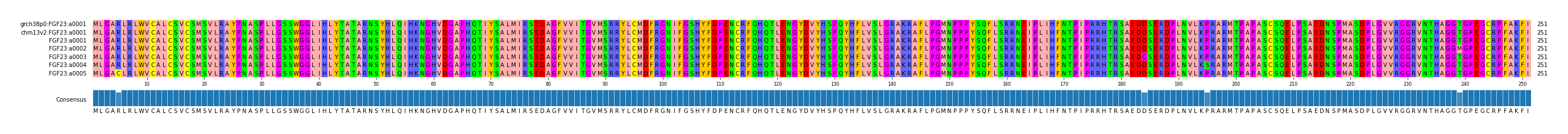 Multiple Alignments (by translate haplotype frequency)
