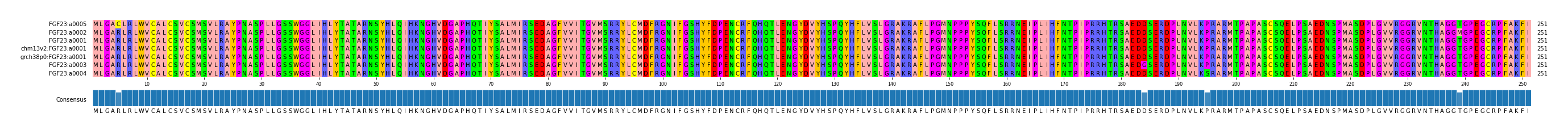 Multiple Alignments (by translate haplotype similarity)