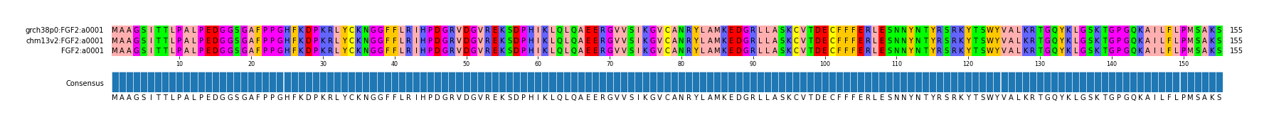 Multiple Alignments (by translate haplotype similarity)