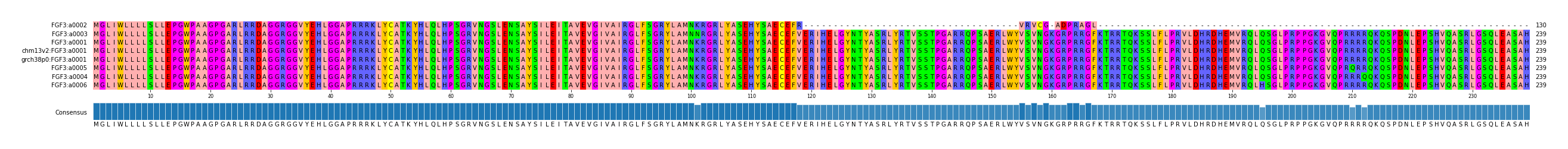 Multiple Alignments (by translate haplotype similarity)