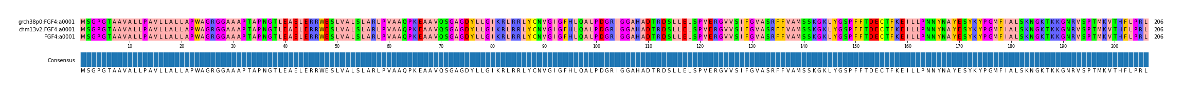 Multiple Alignments (by translate haplotype frequency)