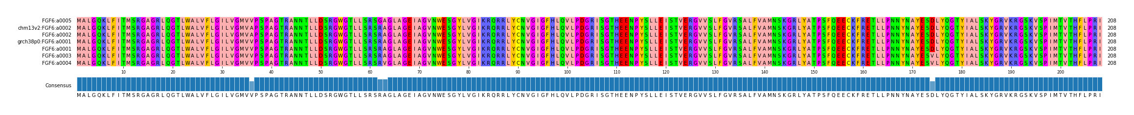 Multiple Alignments (by translate haplotype similarity)