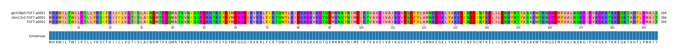 Multiple Alignments (by translate haplotype similarity)