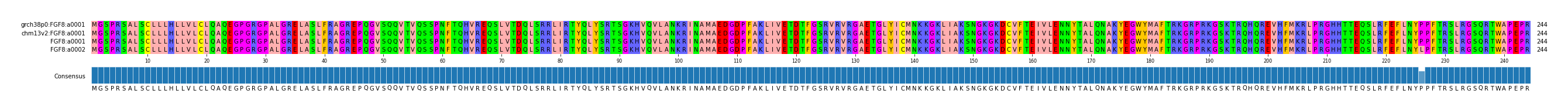 Multiple Alignments (by translate haplotype similarity)