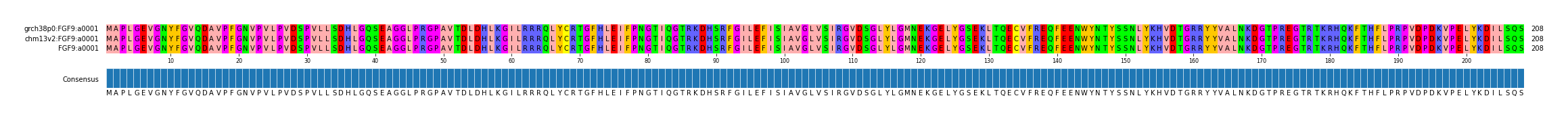 Multiple Alignments (by translate haplotype similarity)