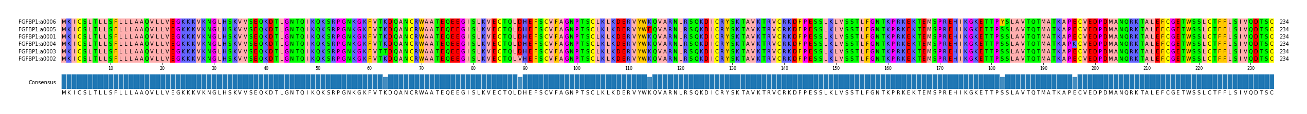 Multiple Alignments (by translate haplotype similarity)
