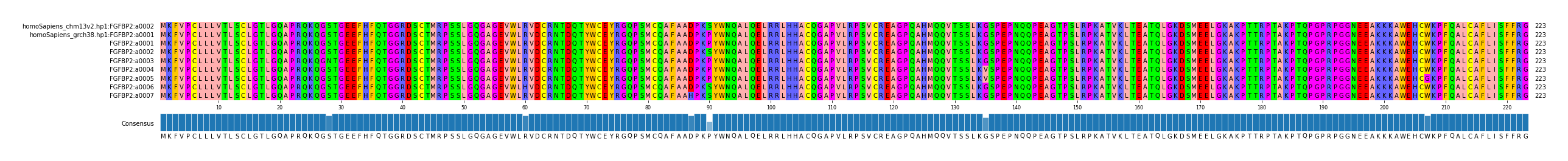 Multiple Alignments (by translate haplotype frequency)