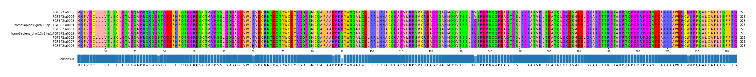 Multiple Alignments (by translate haplotype similarity)