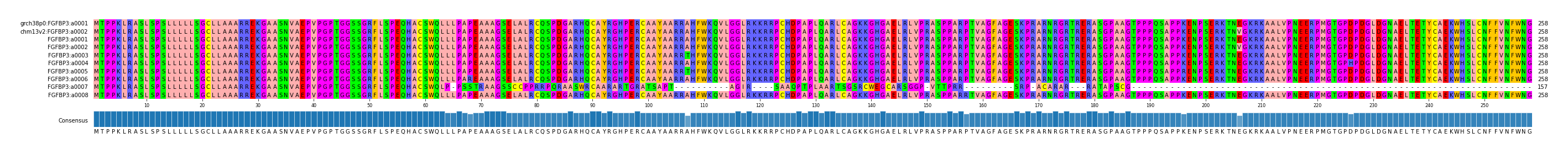 Multiple Alignments (by translate haplotype frequency)