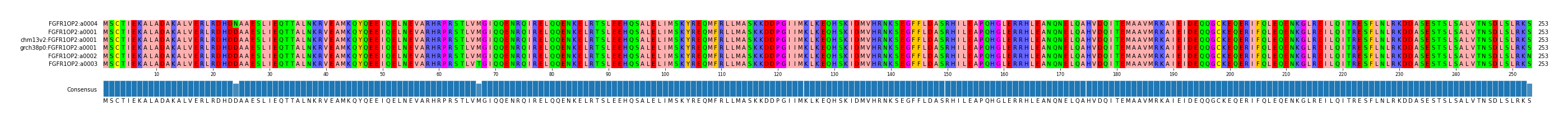 Multiple Alignments (by translate haplotype similarity)