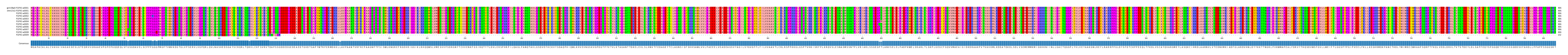 Multiple Alignments (by translate haplotype frequency)