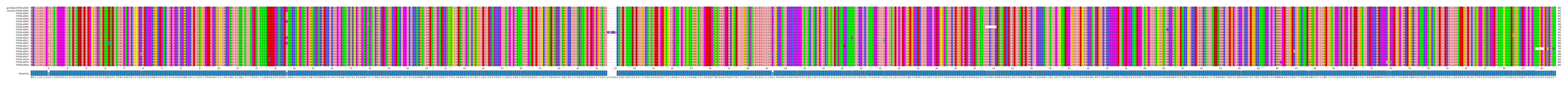 Multiple Alignments (by translate haplotype frequency)