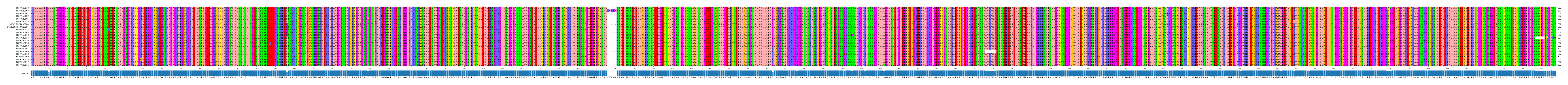Multiple Alignments (by translate haplotype similarity)