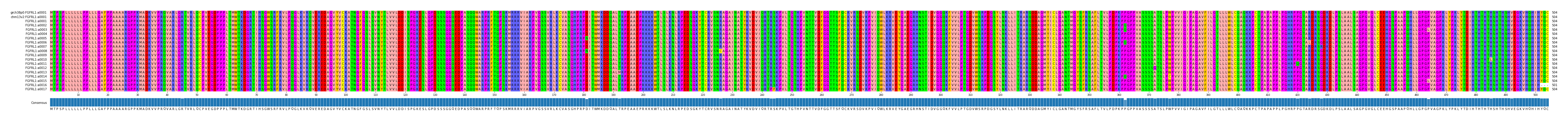 Multiple Alignments (by translate haplotype frequency)