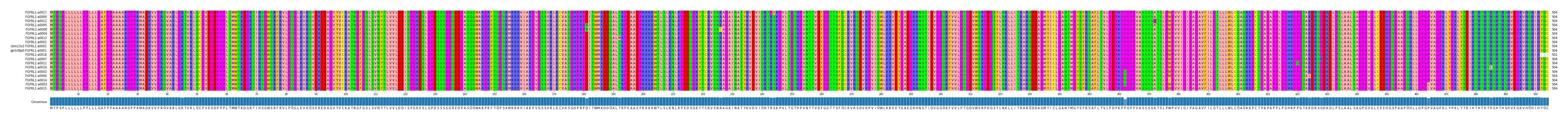Multiple Alignments (by translate haplotype similarity)