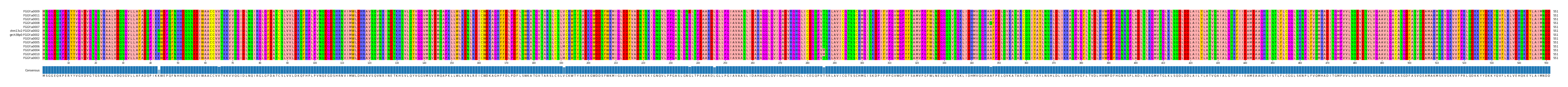 Multiple Alignments (by translate haplotype similarity)