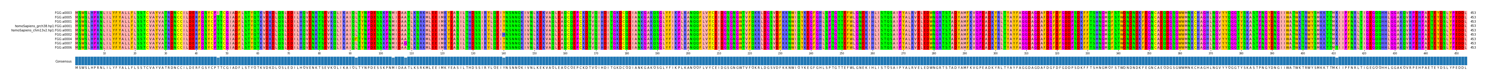 Multiple Alignments (by translate haplotype similarity)