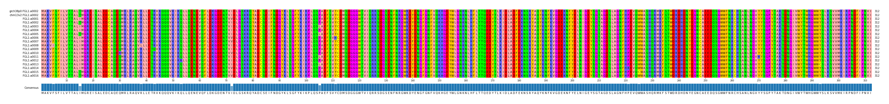 Multiple Alignments (by translate haplotype frequency)