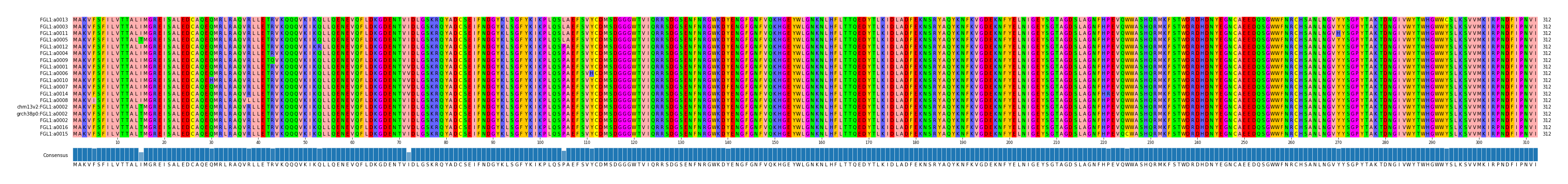 Multiple Alignments (by translate haplotype similarity)