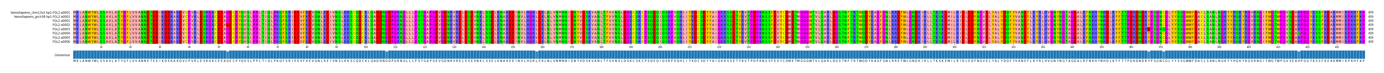 Multiple Alignments (by translate haplotype frequency)