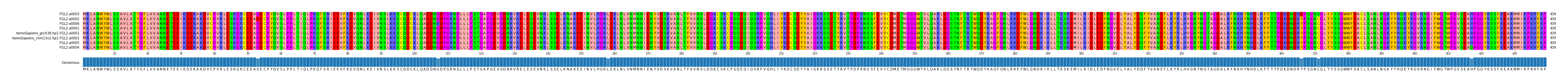 Multiple Alignments (by translate haplotype similarity)